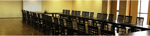 Sala de conferinte
